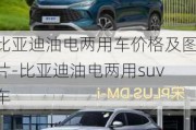 比亚迪油电两用车价格及图片-比亚迪油电两用suv车