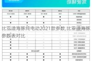 比亚迪海豚纯电动2021款参数,比亚迪海豚参数表对比