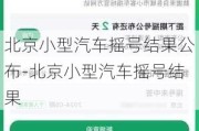 北京小型汽车摇号结果公布-北京小型汽车摇号结果