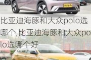 比亚迪海豚和大众polo选哪个,比亚迪海豚和大众polo选哪个好