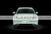 欧拉好猫2021怎么样,欧拉好猫会出2022年版本吗