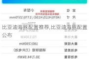 比亚迪海豚配置推荐,比亚迪海豚配置公布