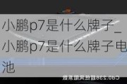 小鹏p7是什么牌子_小鹏p7是什么牌子电池