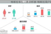 特斯拉车主人群分析表-特斯拉用户群