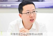 阿维塔是什么-阿维塔ceo拍照