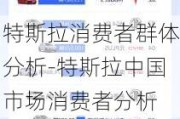 特斯拉消费者群体分析-特斯拉中国市场消费者分析