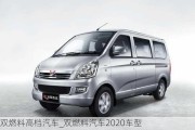 双燃料高档汽车_双燃料汽车2020车型