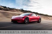 特斯拉新型能源汽车-特斯拉新型能源汽车图片