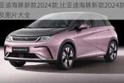 比亚迪海豚新款2024款,比亚迪海豚新款2024款报价及图片大全