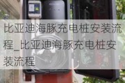 比亚迪海豚充电桩安装流程_比亚迪海豚充电桩安装流程