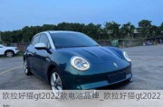 欧拉好猫gt2022款电池品牌_欧拉好猫gt2022款