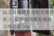 比亚迪海豚充电桩功率是多少_比亚迪海豚充电桩功率是多少w