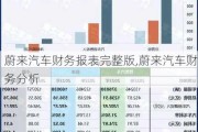 蔚来汽车财务报表完整版,蔚来汽车财务分析