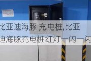 比亚迪海豚 充电桩,比亚迪海豚充电桩红灯一闪一闪