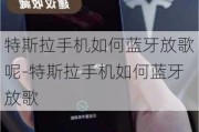 特斯拉手机如何蓝牙放歌呢-特斯拉手机如何蓝牙放歌