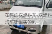 在售的双燃料车-双燃料汽车哪里买的到