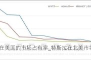 特斯拉在美国的市场占有率_特斯拉在北美市场的表现