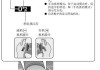 汽车换挡拨片怎么用实车演示_汽车换挡拨片怎么用实车演示图