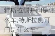 特斯拉侧开门是什么车,特斯拉侧开门是什么车