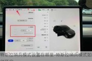 特斯拉哨兵模式设置在哪里-特斯拉哨兵模式如何开启