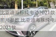 比亚迪海豚纯电动2021款图片参数,比亚迪海豚纯电动2021款