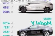 特斯拉modely和小鹏p7,特斯拉modely和小鹏p7i怎么选择