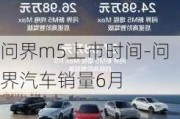 问界m5上市时间-问界汽车销量6月