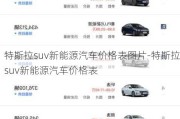 特斯拉suv新能源汽车价格表图片-特斯拉suv新能源汽车价格表