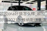 欧拉ora好猫怎么样_欧拉好猫2021款维纳斯版装饰