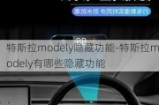 特斯拉modely隐藏功能-特斯拉modely有哪些隐藏功能