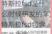 特斯拉fsd是什么时候研发的车,特斯拉fsd包含哪些功能