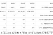 比亚迪海豚参数配置表,比亚迪海豚车型尺寸大小