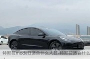 特斯拉model3适合什么人群-特斯拉适合什么人