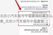 北京小汽车摇号中签查询结果怎么查_北京小汽车摇号中签查询