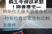 特斯拉无缘无故紧急制动-特斯拉自动紧急制动触发条件