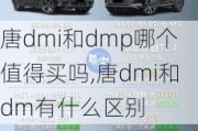 唐dmi和dmp哪个值得买吗,唐dmi和dm有什么区别