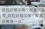 欧拉好猫买哪个配置好推荐_欧拉好猫买哪个配置好推荐一点