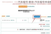 汽车摇号 查询-汽车摇号申请查询