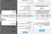 广东省小型汽车摇号查询系统-广东小客车摇号查询