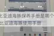 比亚迪海豚保养手册是哪个,比亚迪海豚使用手册