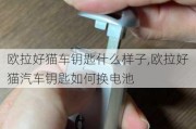 欧拉好猫车钥匙什么样子,欧拉好猫汽车钥匙如何换电池