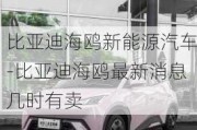 比亚迪海鸥新能源汽车-比亚迪海鸥最新消息几时有卖