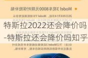 特斯拉2022还会降价吗-特斯拉还会降价吗知乎