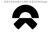 未来汽车标志是什么样的-未来汽车标志logo