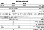 比亚迪海鸥第一年的保险是多少钱啊-比亚迪海鸥第一年的保险是多少钱