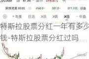 特斯拉股票分红一年有多少钱-特斯拉股票分红过吗