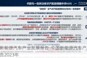 中国新能源汽车产业发展报告-中国新能源汽车产业发展报告2023年