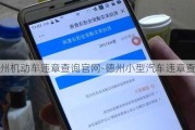 德州机动车违章查询官网-德州小型汽车违章查询