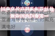 比亚迪海豚充电方式_比亚迪海豚充电多长时间充满电好