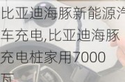 比亚迪海豚新能源汽车充电,比亚迪海豚充电桩家用7000瓦